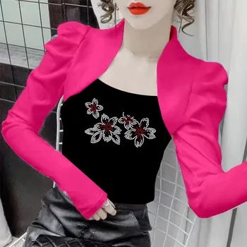 Kadın İlkbahar ve Sonbahar Yeni Moda Slim Fit Colorblocked Elmas Tasarım Duygusu Küçük Trendy Tops 306